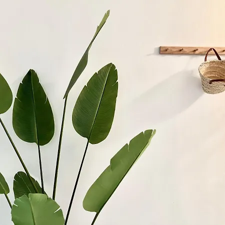 Panadeira Silgar Parking Wifi *