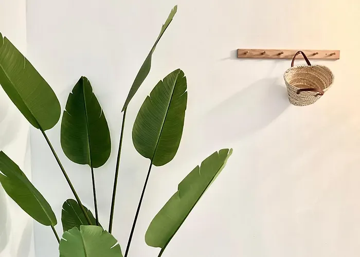 Panadeira Silgar Parking Wifi *